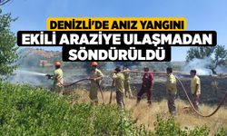 Denizli'de Anız Yangını Ekili Araziye Ulaşmadan Söndürüldü