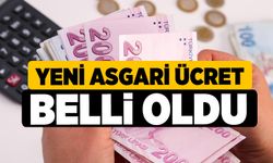 Yeni asgari ücret belli oldu!