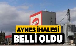 Aynes İhalesi Belli Oldu