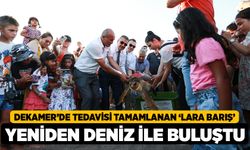 DEKAMER’de Tedavisi Tamamlanan ‘Lara Barış’ Yeniden Deniz ile Buluştu