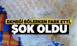 Ekmeği Bölerken Fark Etti, Şok Oldu