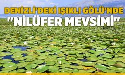 Denizli'deki Işıklı Gölü'nde "nilüfer mevsimi"