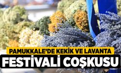 Pamukkale’de Kekik ve Lavanta Festivali Coşkusu 