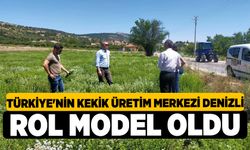 Türkiye'nin Kekik Üretim Merkezi Denizli, Rol Model Oldu