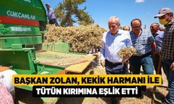 Başkan Zolan, Kekik Harmanı İle Tütün Kırımına Eşlik Etti