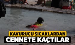 Kavurucu Sıcaklardan Cennete Kaçtılar