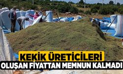 Kekik Üreticileri Oluşan Fiyattan Memnun Kalmadı