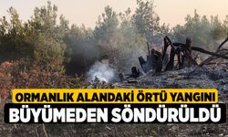 Ormanlık alandaki örtü yangını büyümeden söndürüldü