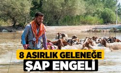 8 Asırlık Geleneğe Şap Engeli