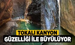 Tokalı Kanyon Güzelliği İle Büyülüyor