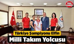 Türkiye Şampiyonu Elfin, Milli Takım Yolcusu