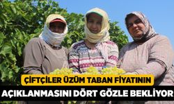 Çiftçiler Üzüm Taban Fiyatının Açıklanmasını Dört Gözle Bekliyor