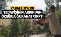 Yaralı leylek tedavisinin ardından özgürlüğe kanat çırptı