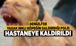 Denizli'de Yasak Irklı Köpeğin Saldırdığı Polis Hastaneye Kaldırıldı