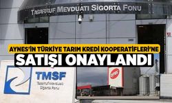 Aynes'in Türkiye Tarım Kredi Kooperatifleri'ne satışı onaylandı