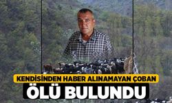 Kendisinden haber alınamayan çoban ölü bulundu