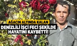 Ağacın Altında Kalan Denizlili İşçi Feci Şekilde Hayatını Kaybetti!