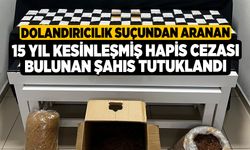 Dolandırıcılık suçundan aranan 15 yıl kesinleşmiş hapis cezası bulunan şahıs tutuklandı