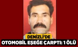 Denizli'de Otomobil Eşeğe Çarptı: 1 Ölü