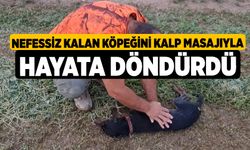 Nefessiz Kalan Köpeğini Kalp Masajıyla Hayata Döndürdü