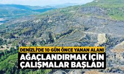 Denizli'de 10 Gün Önce Yanan Alanı Ağaçlandırmak İçin Çalışmalar Başladı