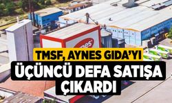 TMSF, Aynes Gıda’yı üçüncü defa satışa çıkardı