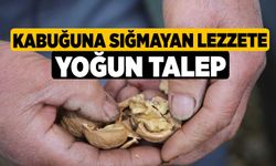 Kabuğuna sığmayan lezzete yoğun talep