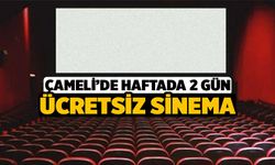 Çameli'de Haftada 2 Gün Sinema Keyfi