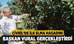 Çivril’de ilk elma hasadını Başkan Vural gerçekleştirdi