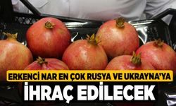 Erkenci nar en çok Rusya ve Ukrayna’ya ihraç edilecek 