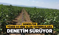 Denizli'de Yüzde 50 Hibe Alan Yatırımcılara Denetim Sürüyor