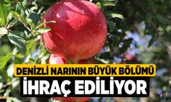 Denizli narının büyük bölümü ihraç ediliyor