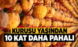 Kurusu yaşından 10 kat daha pahalı