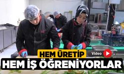 Hem üretip hem iş öğreniyorlar