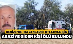 Denizli'de hayvanlarını otlatmak için araziye giden kişi ölü bulundu