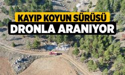 Kayıp koyun sürüsü dronla aranıyor