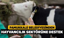 Pamukkale Belediyesinden Hayvancılık Sektörüne Destek
