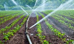 Denizli’de 259 çiftçiye bireysel sulama sistemi desteği verildi