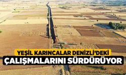 Yeşil karıncalar Denizli’deki çalışmalarını sürdürüyor