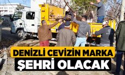 Denizli cevizin marka şehri olacak