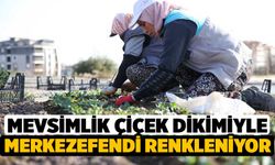 Merkezefendi'de Çiçekler Toprakla Buluşuyor