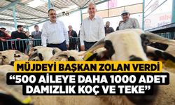 Müjdeyi Başkan Zolan verdi, “500 aileye daha 1000 adet damızlık koç ve teke"