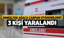 Denizli'de ağaca çarpan otomobildeki 3 kişi yaralandı