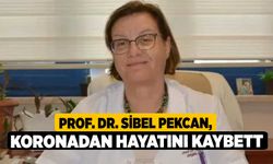 Prof. Dr. Sibel Pekcan, Korona'dan hayatını kaybetti