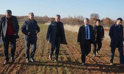 Çivril Organize Sanayi Bölgesi projesi hayata geçiyor