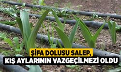 Şifa dolusu salep, kış aylarının vazgeçilmezi oldu