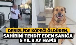 Denizli'de köpeği öldüren, sahibini tehdit eden sanığa 5 yıl 9 ay hapis