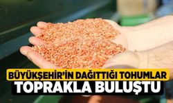 Büyükşehir’in dağıttığı tohumlar toprakla buluştu