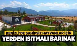 Denizli'de sahipsiz hayvanlar için yerden ısıtmalı barınak