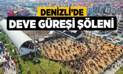 Denizli’de deve güreşi şöleni